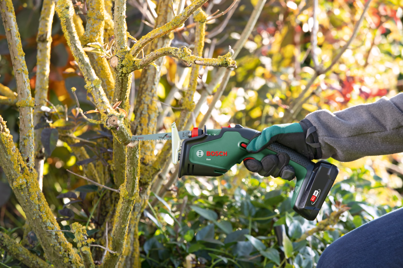 Bosch Keo 18 Accu Snoerloze Takkenschaar (Body)